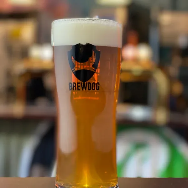 Punk Ipa 0,4L